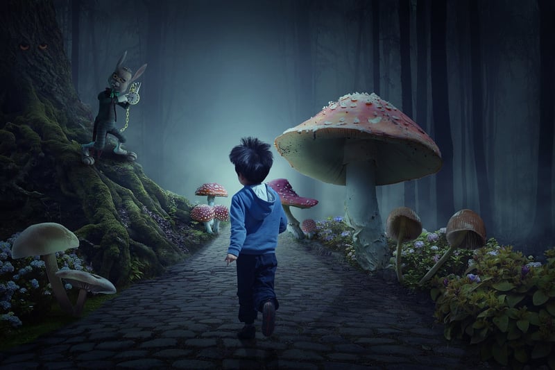 Enchanted Forest