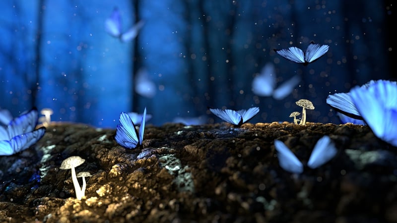 Secret Garden